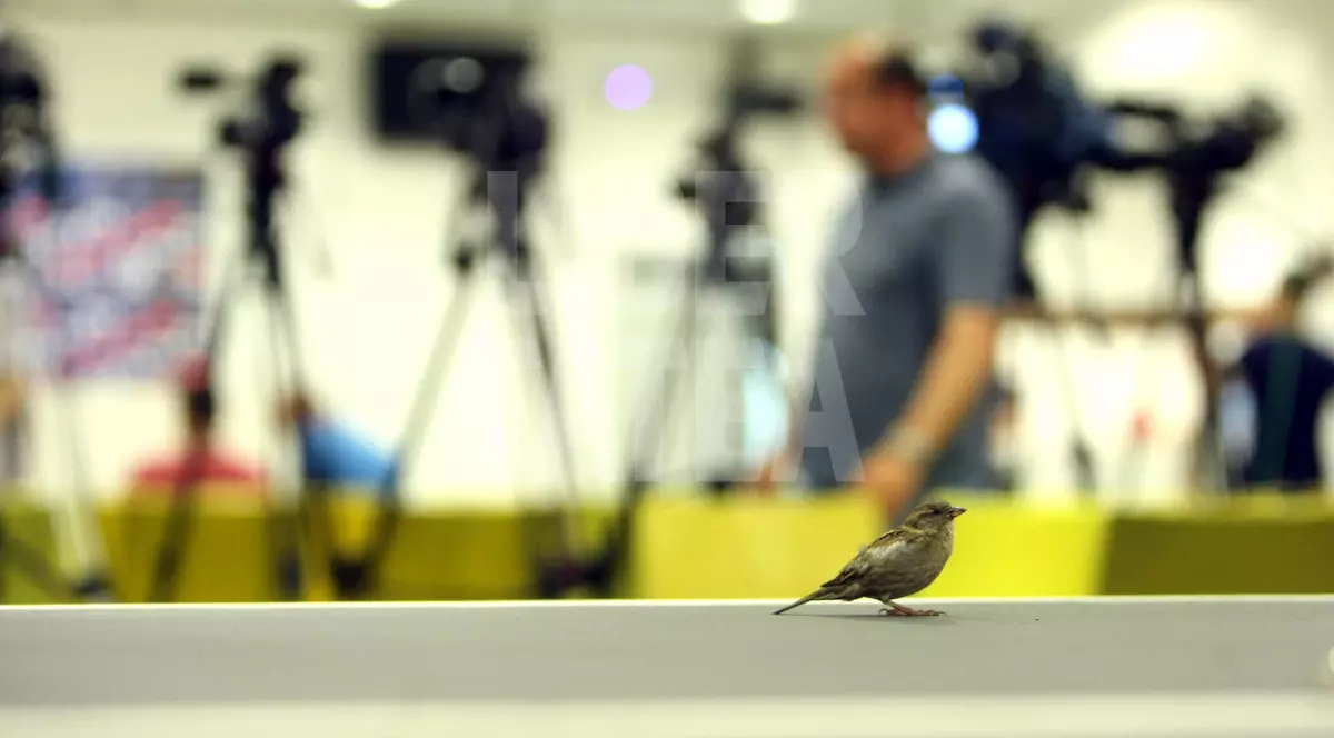 SCENARIU DE HITCHCOCK! A cui păsărică va cânta mai tare la finala Cupei României?