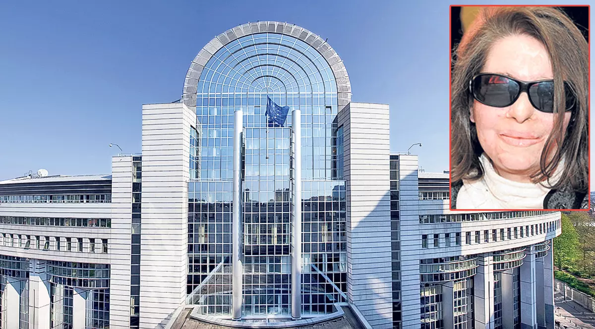 De la mătură, în Parlamentul European