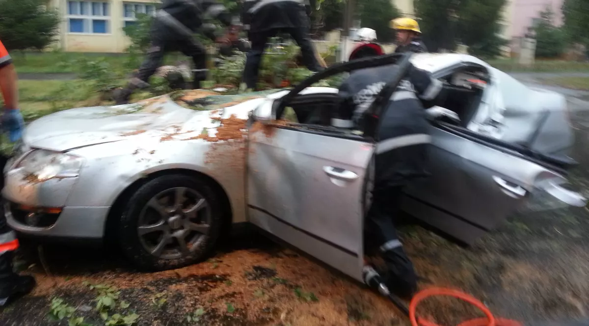 Un bărbat a murit după ce UN COPAC S-A PRĂBUŞIT PESTE MAŞINA LUI! | FOTO