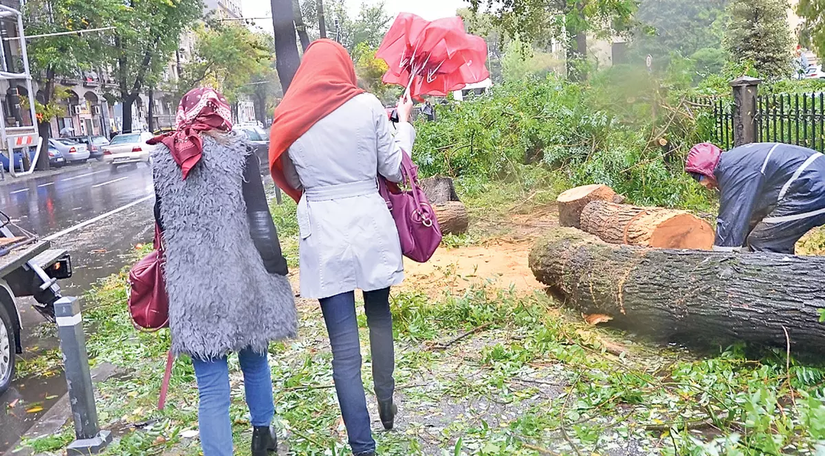 Vremea a luat-o razna! Ne aşteaptă două zile cu vijelii, grindină şi ploi