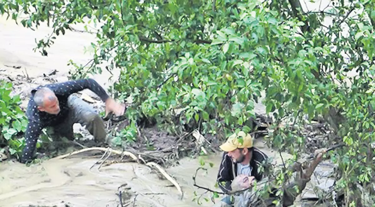 11 oameni, ucişi de viituri în Bulgaria