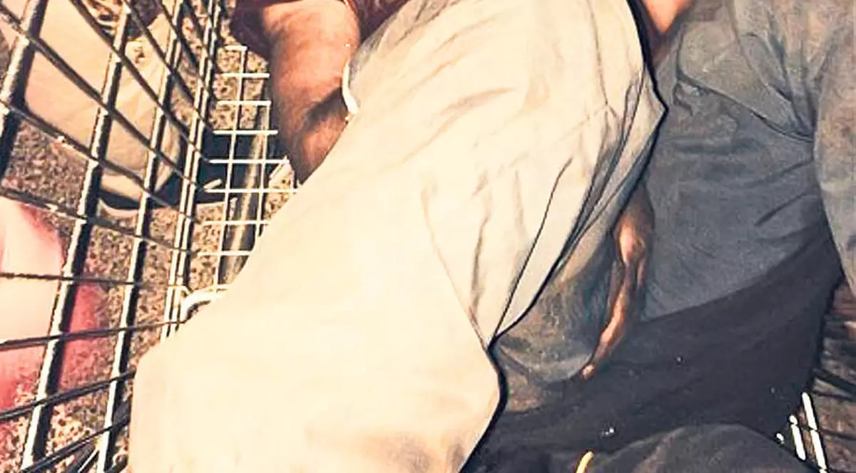 CAZUL minorului ROM BĂTUT CRUNT în Franţa, SUBIECT în presa internaţională