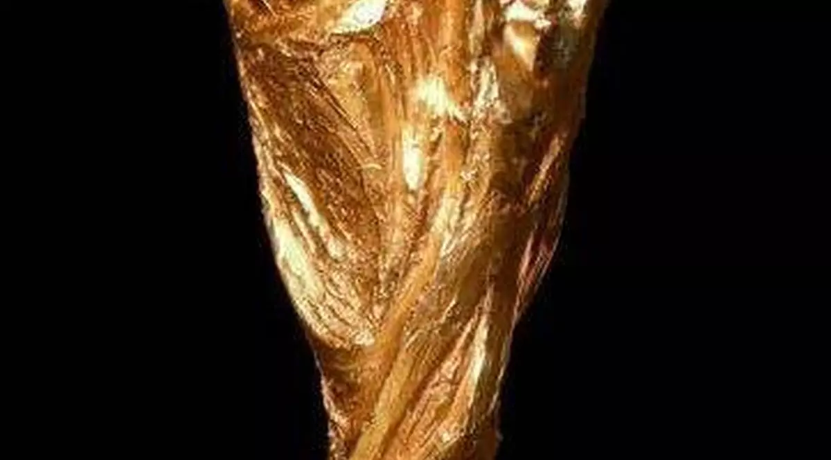 CAMPIONATUL MONDIAL de FOTBAL 2014! FINALA GERMANIA-ARGENTINA - şi un RĂZBOI al PAPILOR!
