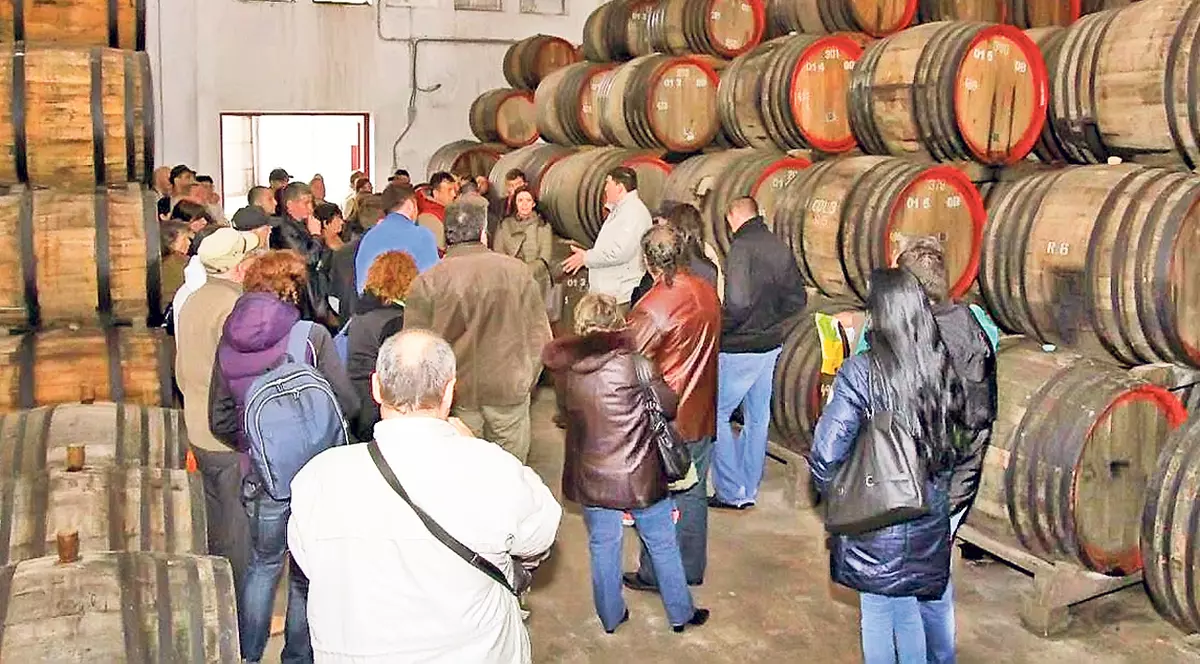 Murfatlar, imperiul de jumătate de miliard de lei aflat sub sechestru