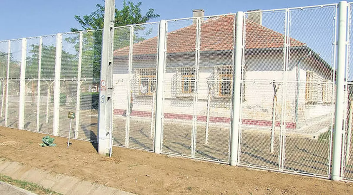 Doi dintre minorii evadaţi la Brăila prinşi în lanul de porumb