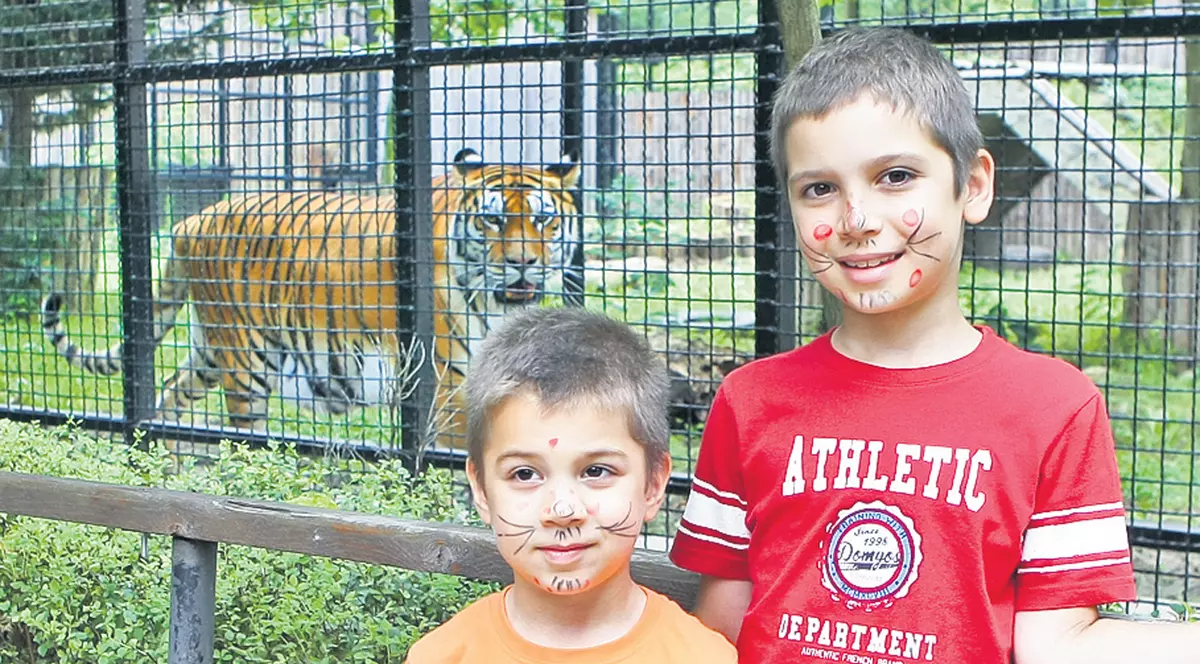 S-au pictat pe faţă de Ziua Tigrului