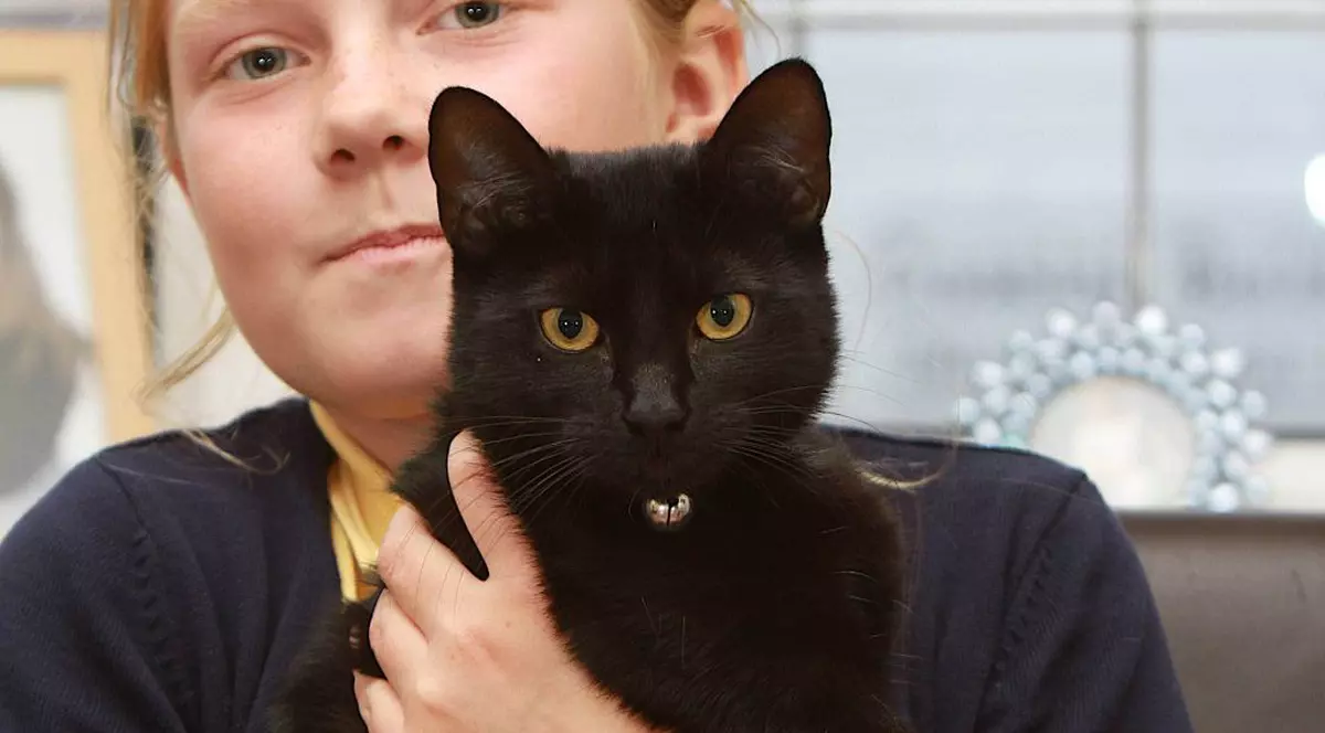 Selfie-urile dăunează grav pisicilor negre