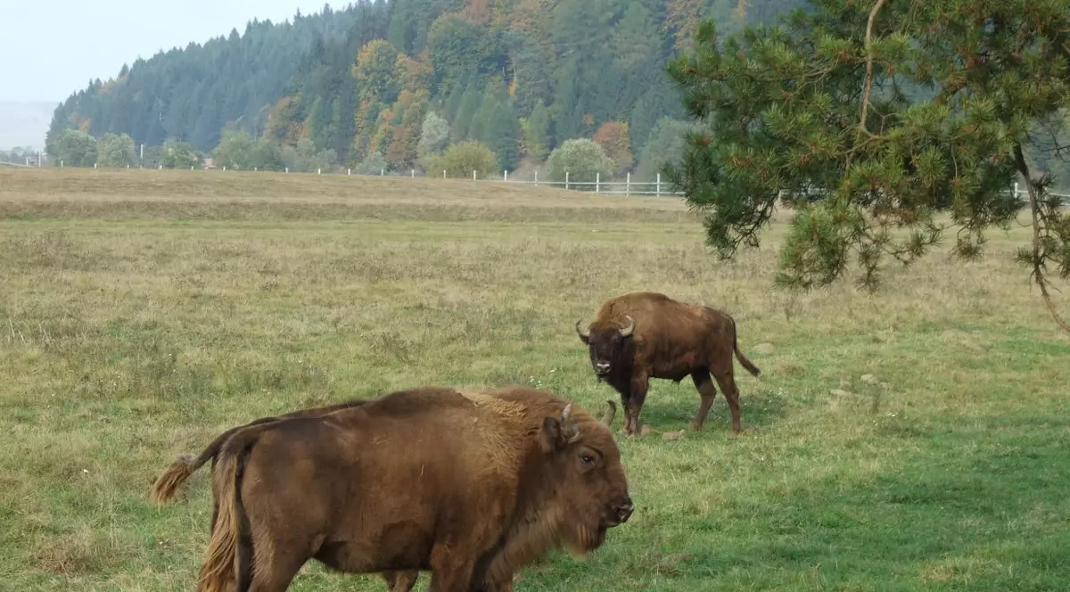 Cele mai frumoase 10 locuri din România. Nu trebuie să le ratezi | FOTO