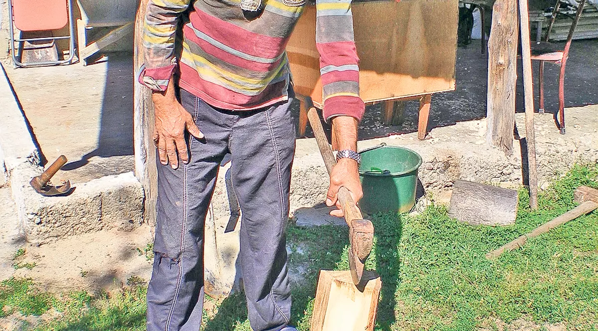 Sculpturi... din bardă!