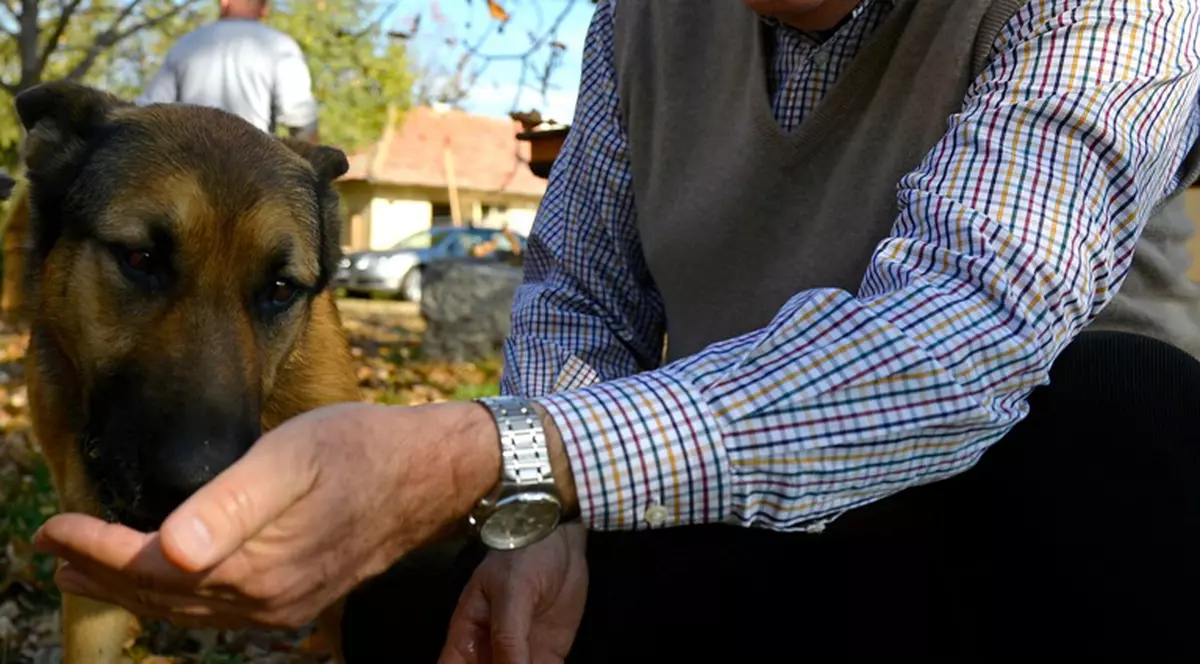 Primarul Chiliman şi-a găsit căţeluşa pierdută!