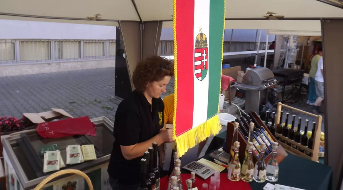 Festival cultural doar pentru maghiari la Cluj-Napoca | FOTO
