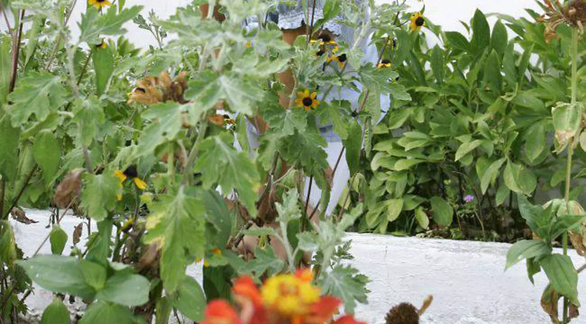 Teo, 10 ani de FERICIRE, alături de fetiţa ei, Maia | IMAGINI SENZAŢIONALE