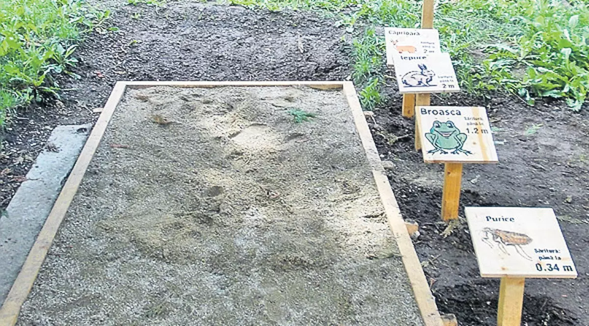 Înveți despre natură la poalele Tâmpei