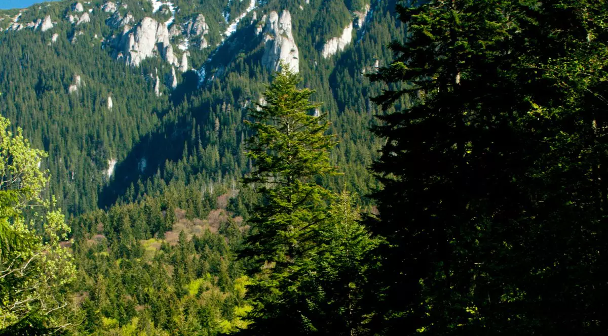 TRAGEDIE! Un lector universitar din Iaşi a murit după ce a căzut într-o prăpastie Parcul Naţional Retezat