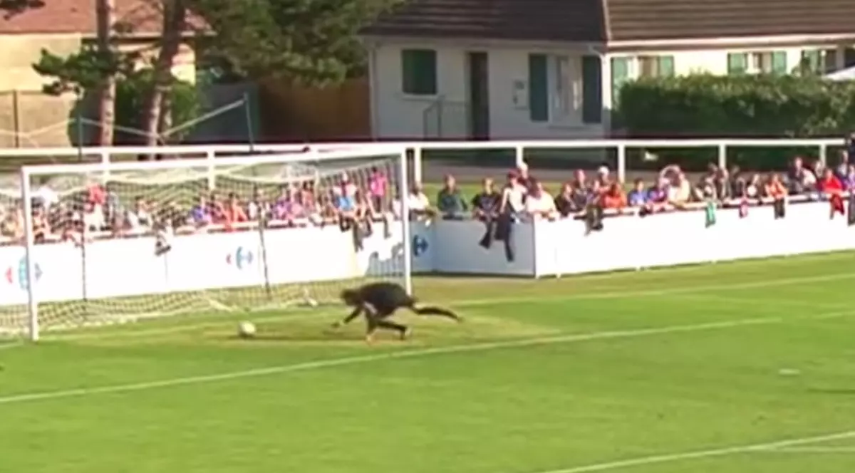 Cel mai ridicol gol primit de un portar în această vară / VIDEO