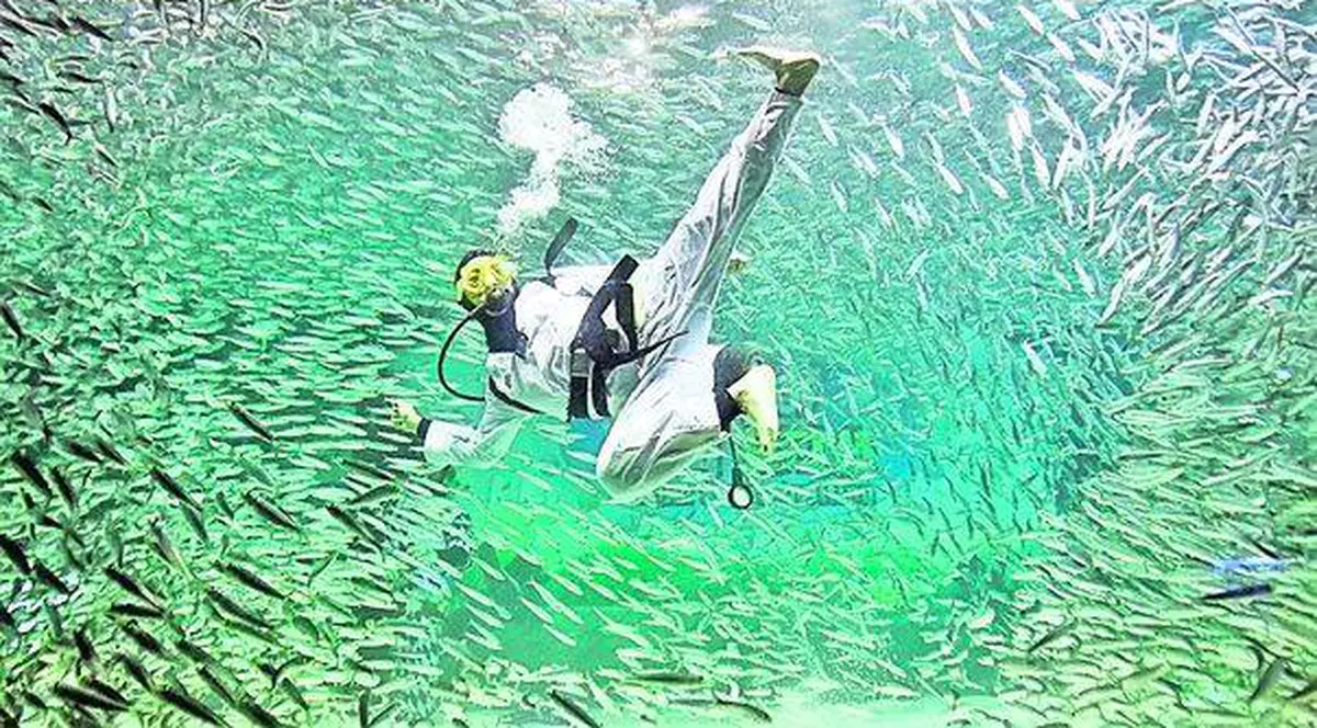 Două campioane naţionale la arte marţiale sunt suspectate că fac parte dintr-o reţea de trafic de persoane