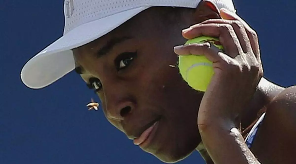Ce spune poliția din Florida despre accidentul rutier comis de Venus Williams