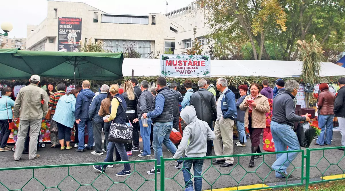 Coadă la must...nimeni la bere