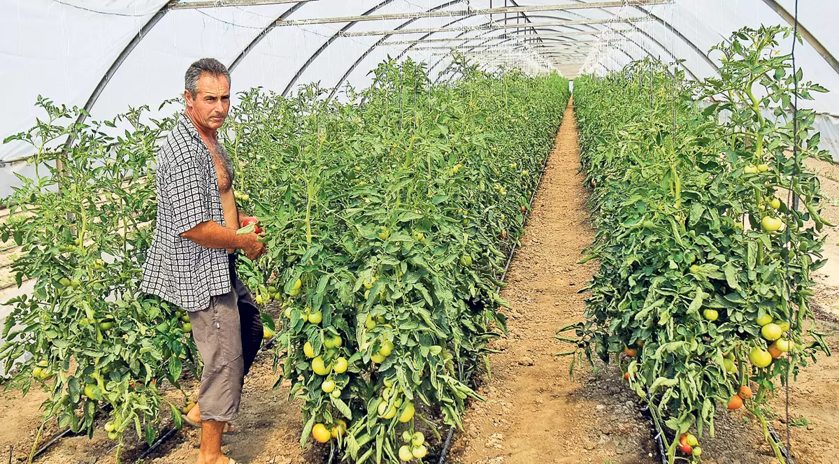 «Scăderea taxelor nu ieftineşte mâncarea»