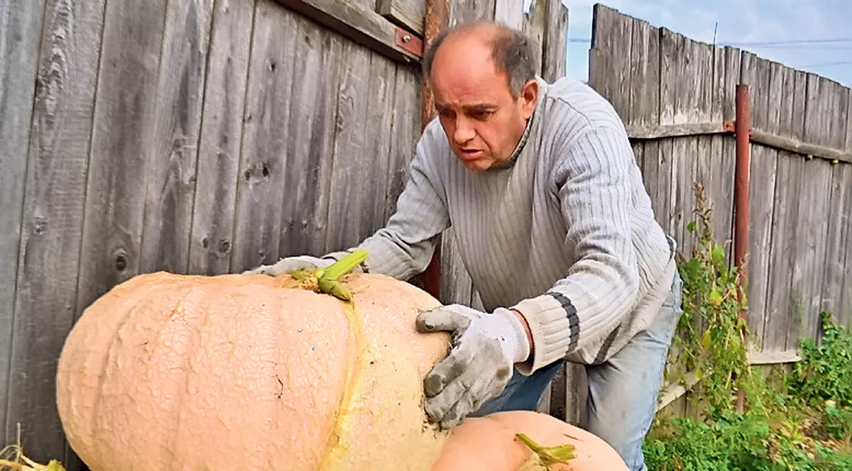 A inventat «reţeta» dovlecilor-giganţi