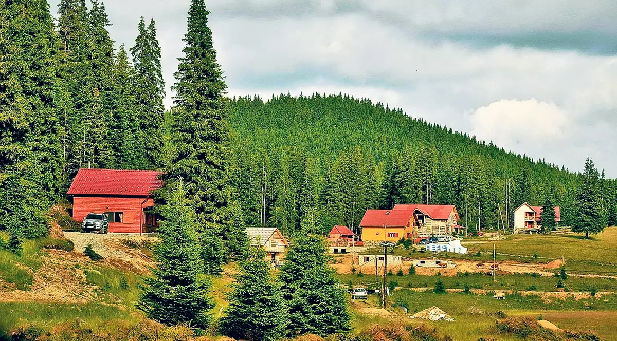 LIBERTATEA TE AJUTĂ. Aplicație pe mobil pentru promovarea producătorilor români şi a serviciilor autentice