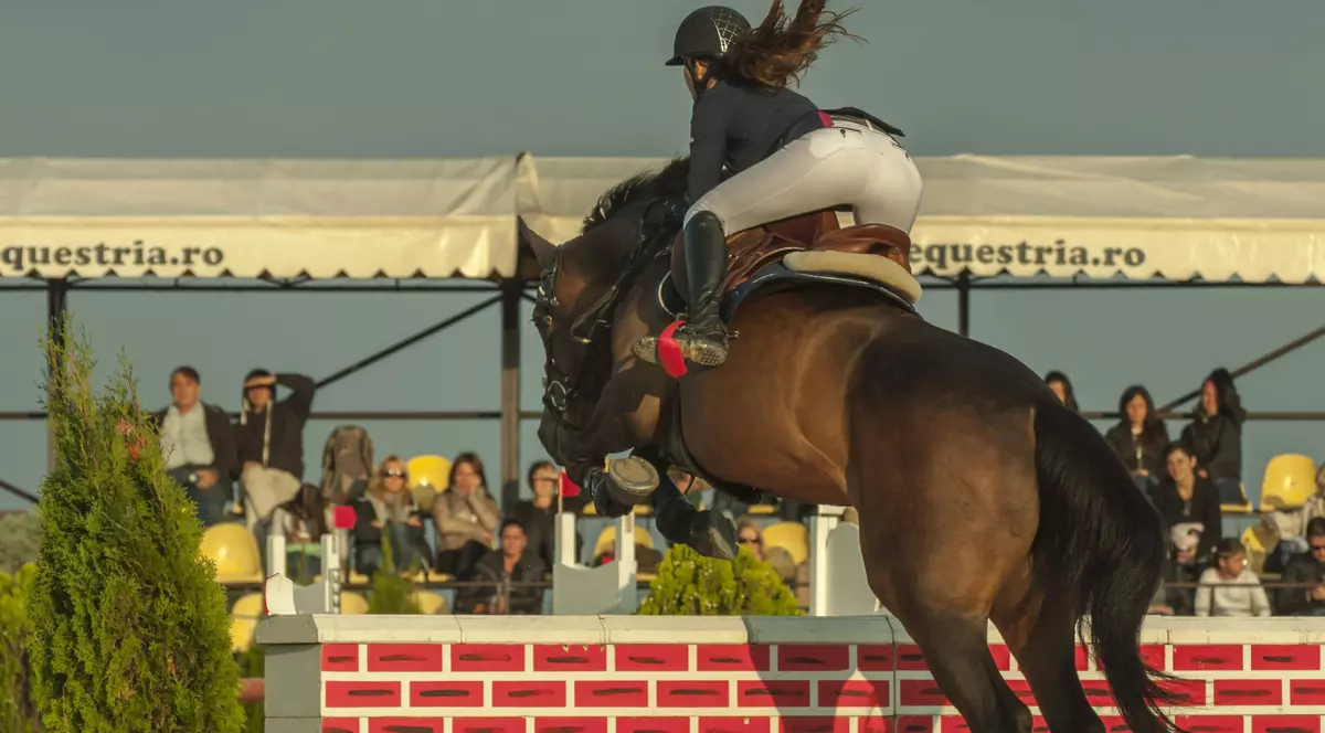 GALERIE FOTO / Performanţa sportivă şi frumuseţea echitaţiei,  în primul week-end de la Salonul Calului
