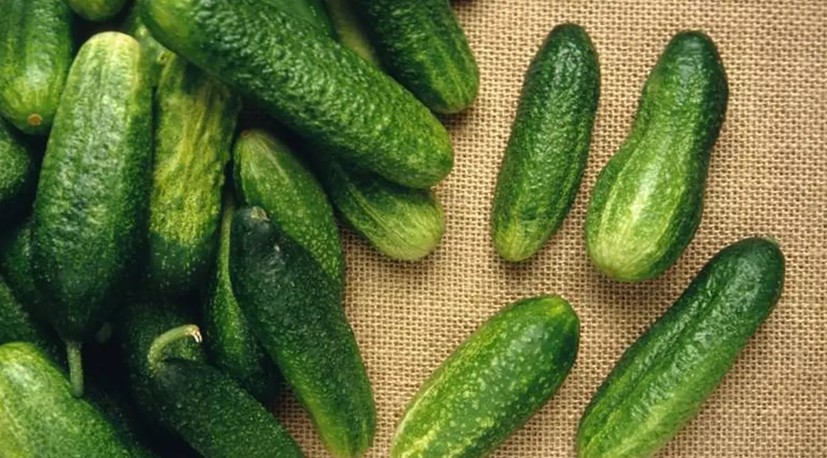 CASTRAVETELE, LEACUL MINUNE în nenumărate BOLI. Proprietăți terapeutice NEBĂNUITE