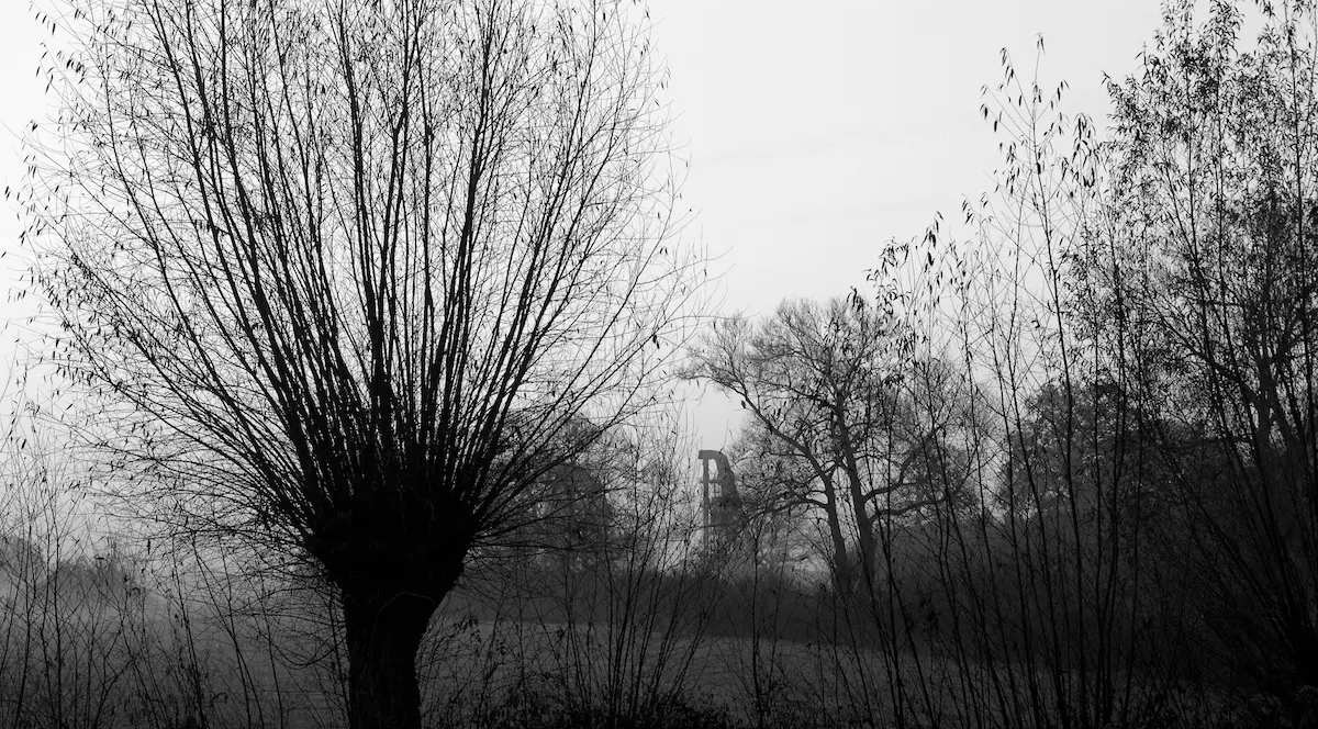 PROGNOZA METEO PÂNĂ ÎN DECEMBRIE! CUM VA FI VREMEA în toamna aceasta şi la începutul iernii