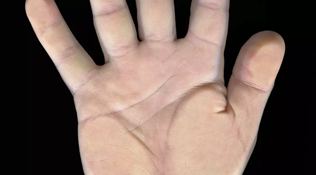 Ce spune mărimea mâinii despre personalitatea ta. Fă testul și vezi