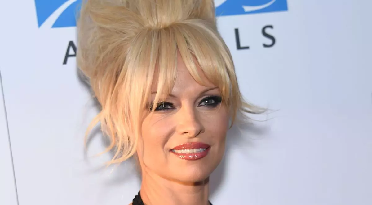 PAMELA ANDERSON, "CIOPÂRŢITĂ" în PHOTOSHOP! În ce HAL au putut să o MODIFICE!