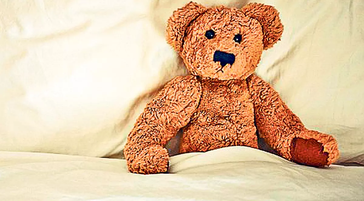 Arestat pentru că n-a rezistat farmecelor ursuleţului