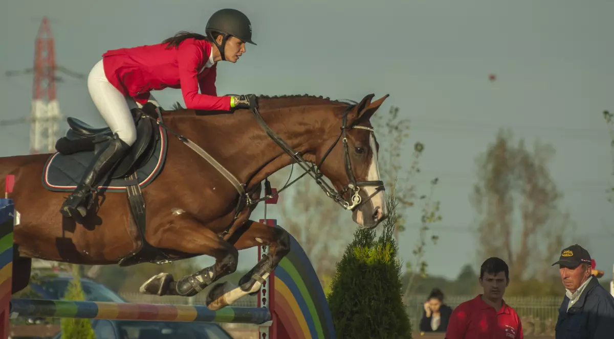 Clubul Equestria organizează, în perioada 17-19 octombrie, Finalele Campionatului Naţional de Sărituri peste Obstacole