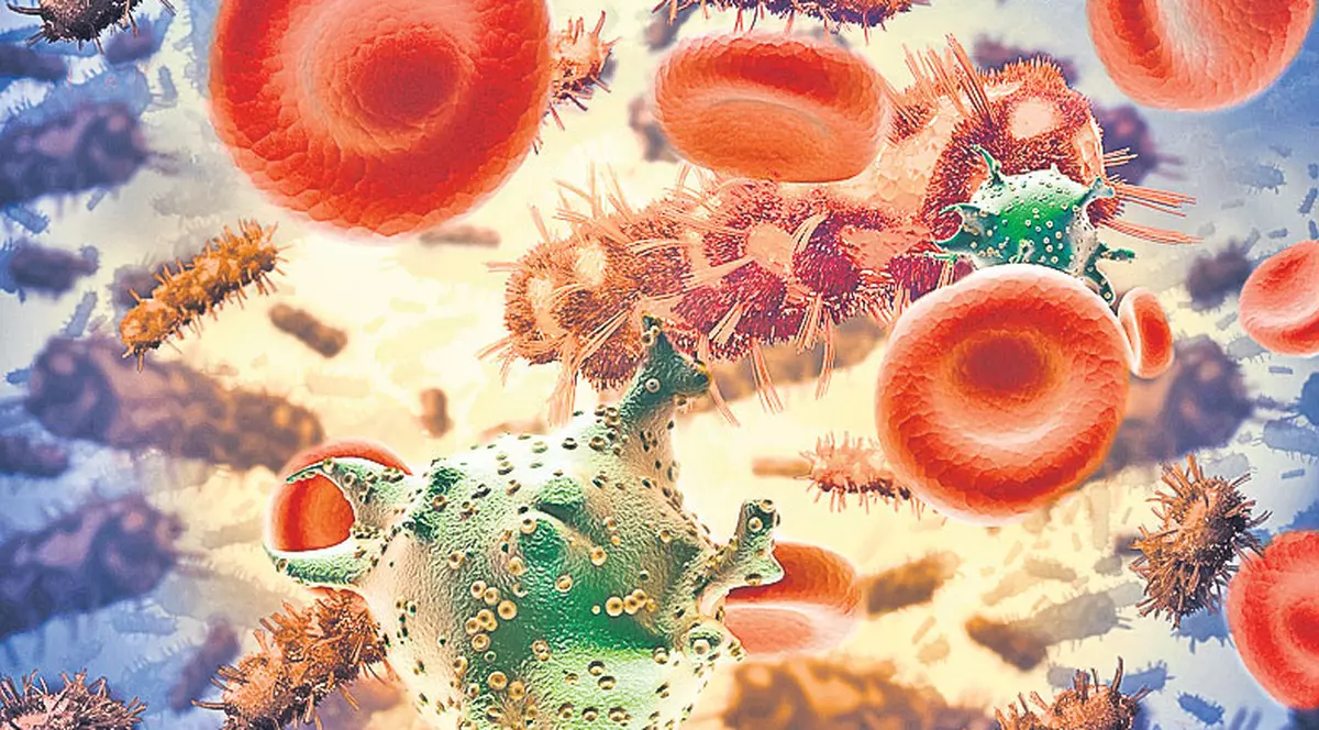 Suntem tot un microb! Ducem în spate 1,5 kg de bacili