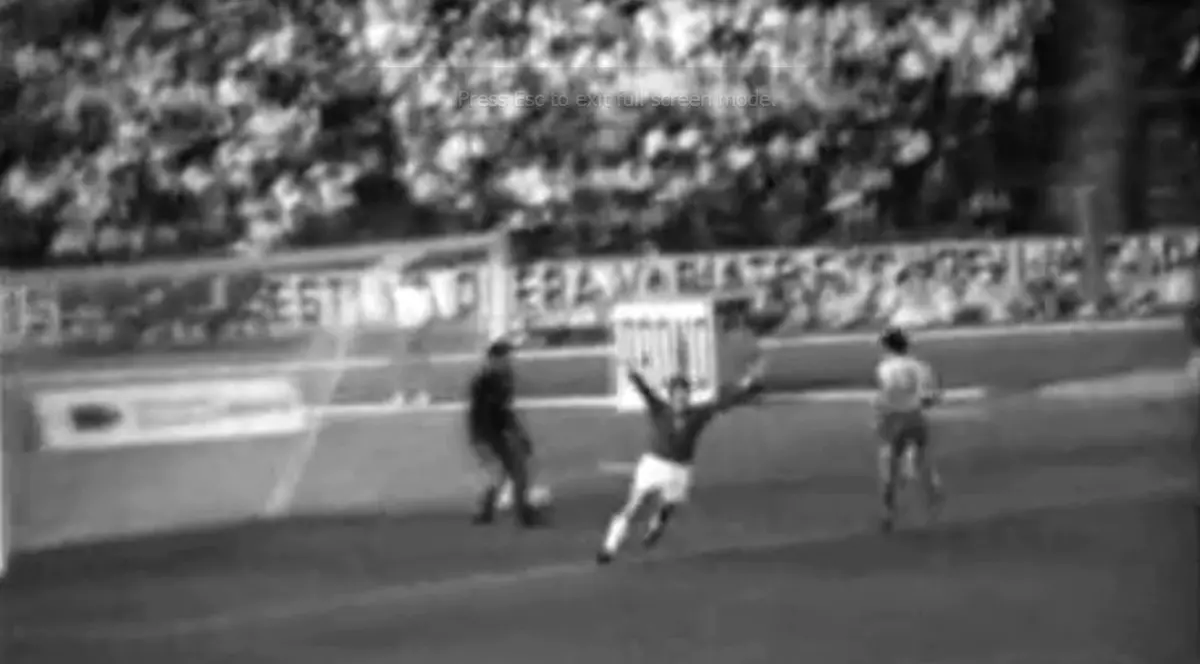 VIDEO / Ungurii sunt speriaţi. ^O legendă maghiară spune: "Sper să nu luăm multe!"