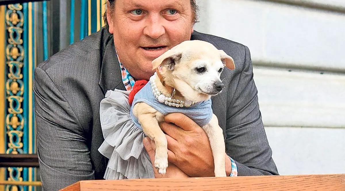 Un chihuahua, primarul oraşului San Francisco pentru o zi