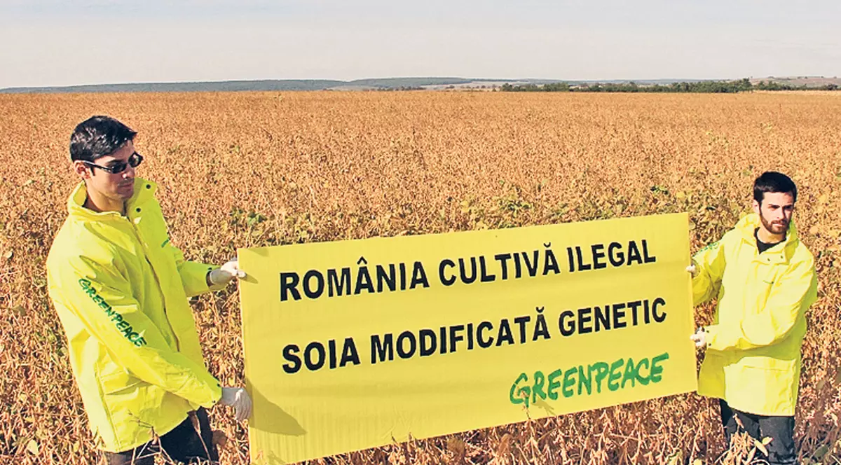 Producţie-record de soia!