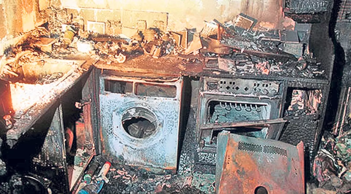 Hamsterul a deschis focul în miez de noapte