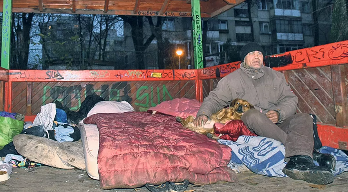 EXCLUSIV | Viaţă de câine