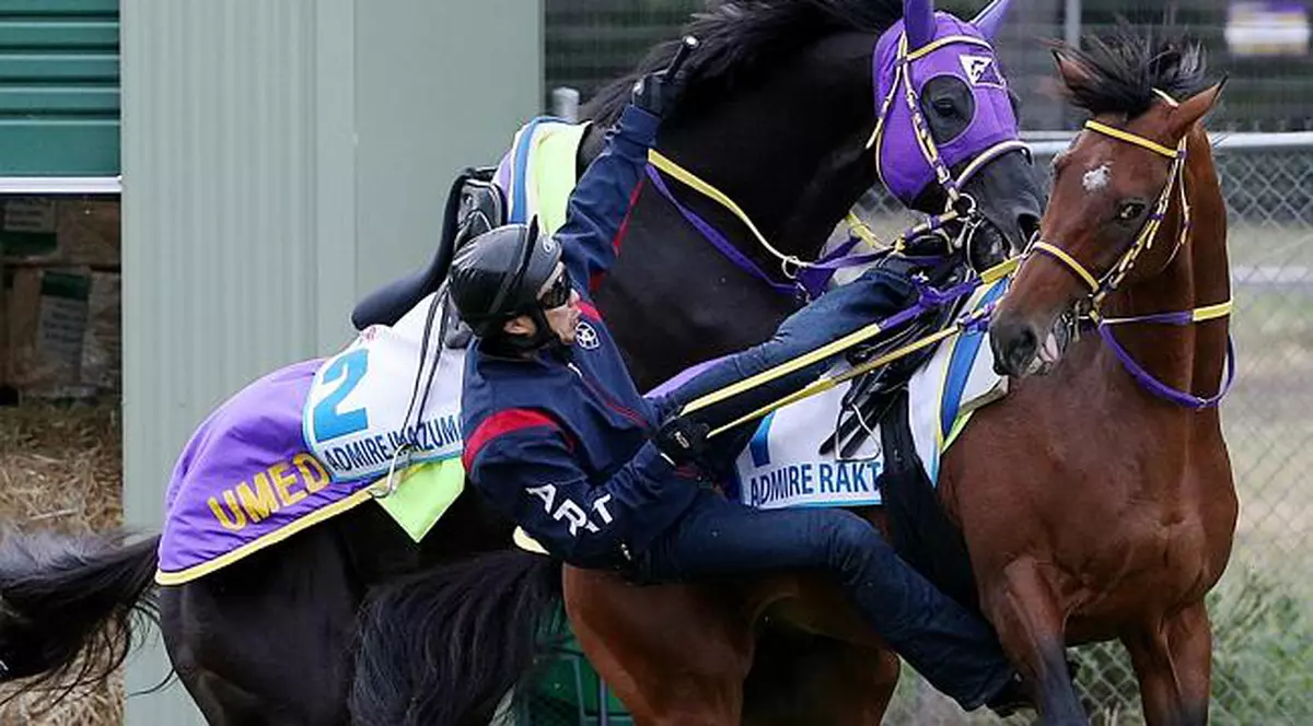 TRAGEDIE. Principalul favorit a terminat cursa, apoi A MURIT