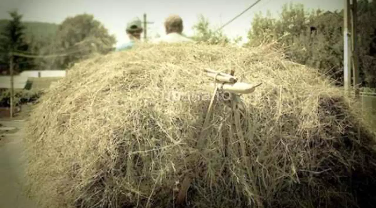 CREDEAȚI CĂ ESTE IMPOSIBIL? El POATE să CAUTE ACUL ÎN CARUL CU FÂN