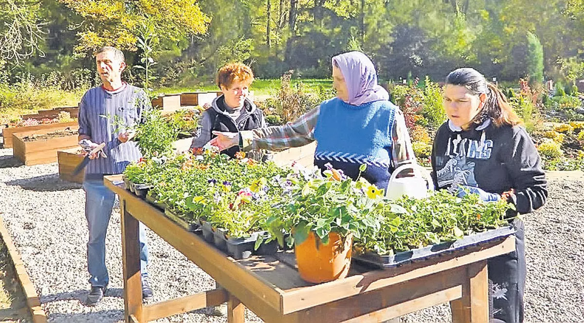 Autoritățile din Arad au inaugurat a doua grădină terapeutică pentru bolnavii psihic