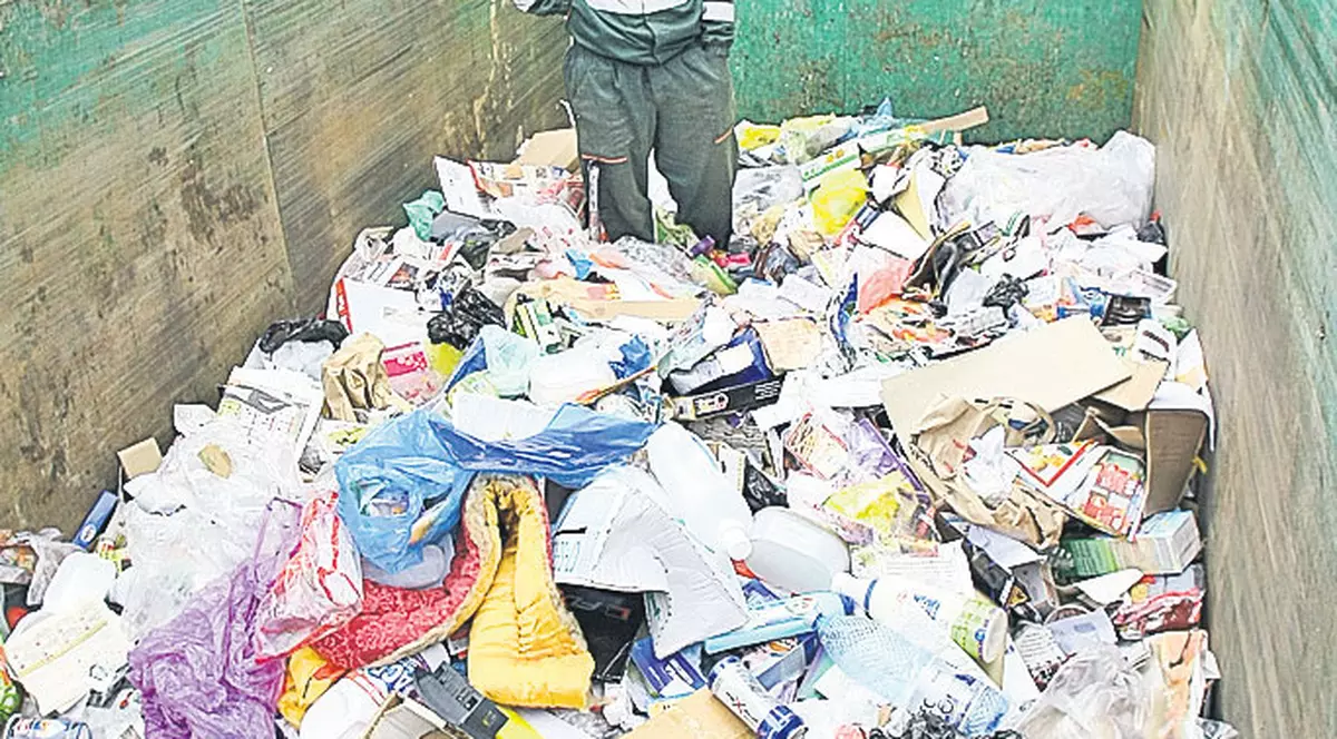 Criza se simte la pubelă | Spune-mi cât gunoi produci, ca să știu cam cum o duci