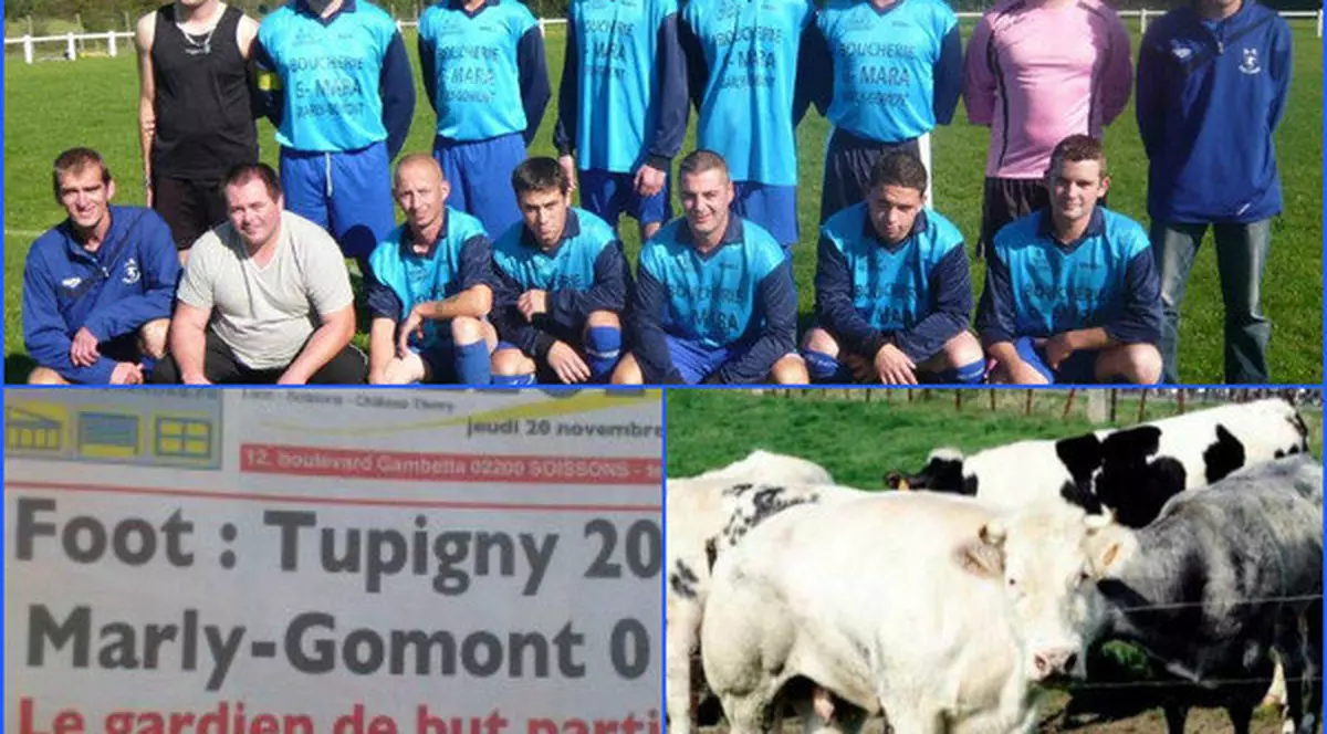 INCREDIBIL! O echipă din Franţa a pierdut cu 20-0, din cauza unei vaci...