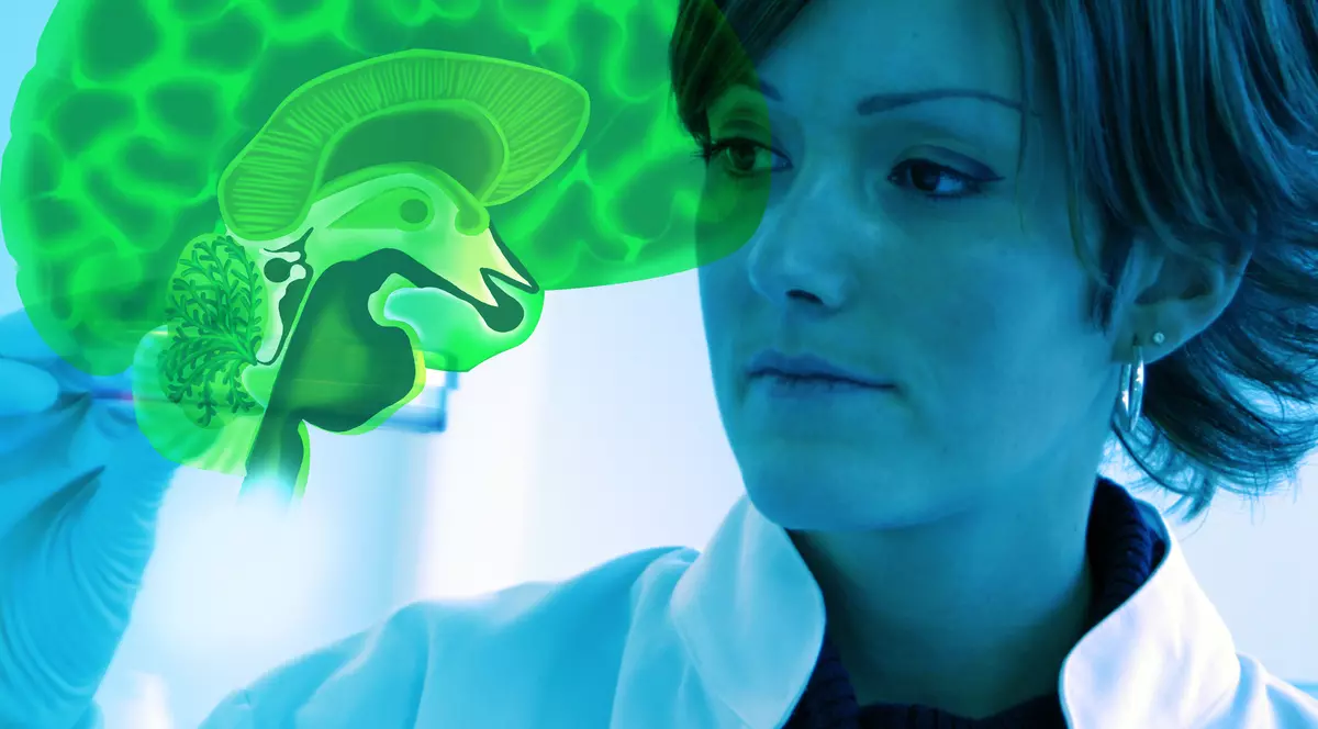 Cum ACȚIONEAZĂ CREIERUL la LIMBI STRĂINE