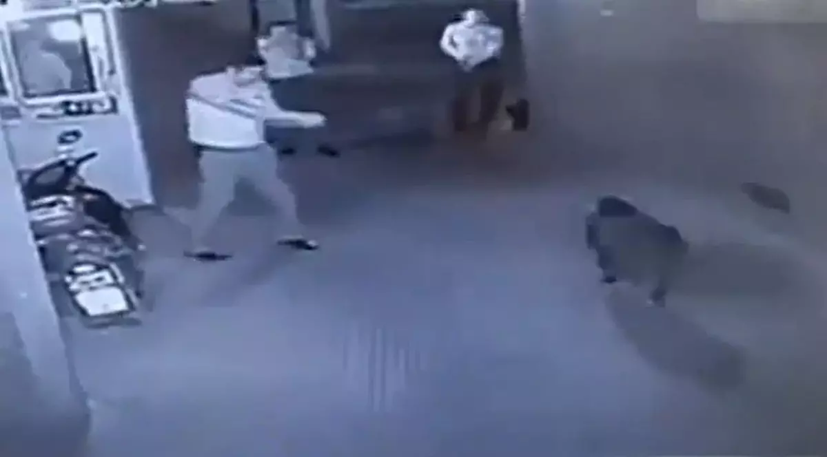 Incredibil! Femeie împuşcată de poliţiştii care urmăreau un MISTREŢ | VIDEO