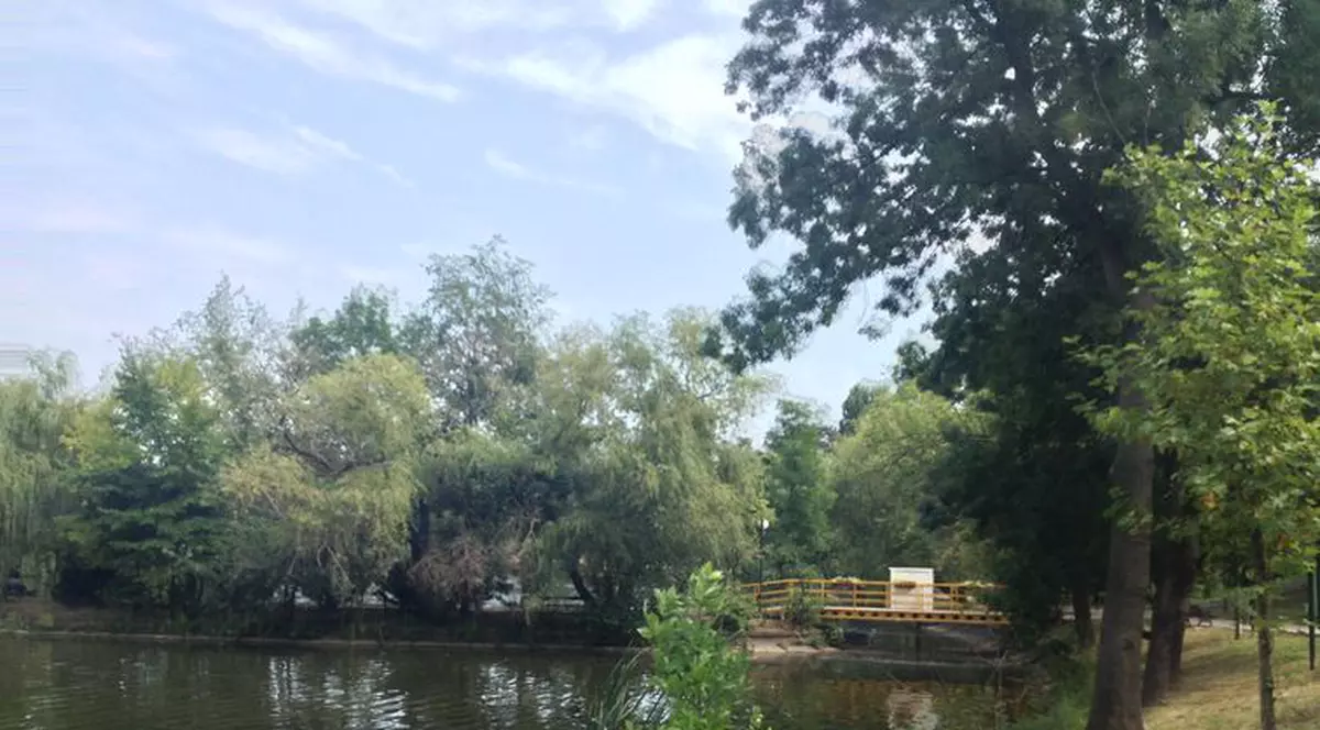 DECIZIE DE ULTIMĂ ORĂ în cazul Parcului BORDEI