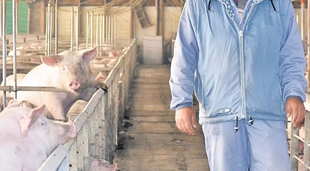 Early-booking la Ghiţă!