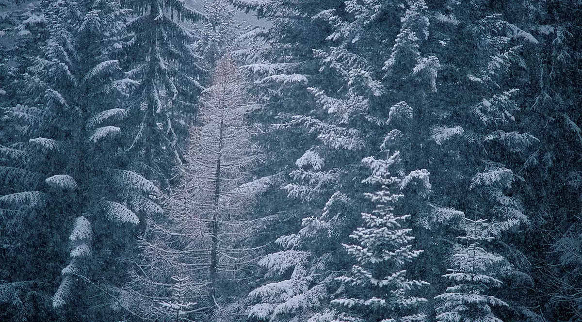 PROGNOZA METEO. Vremea se RĂCEŞTE