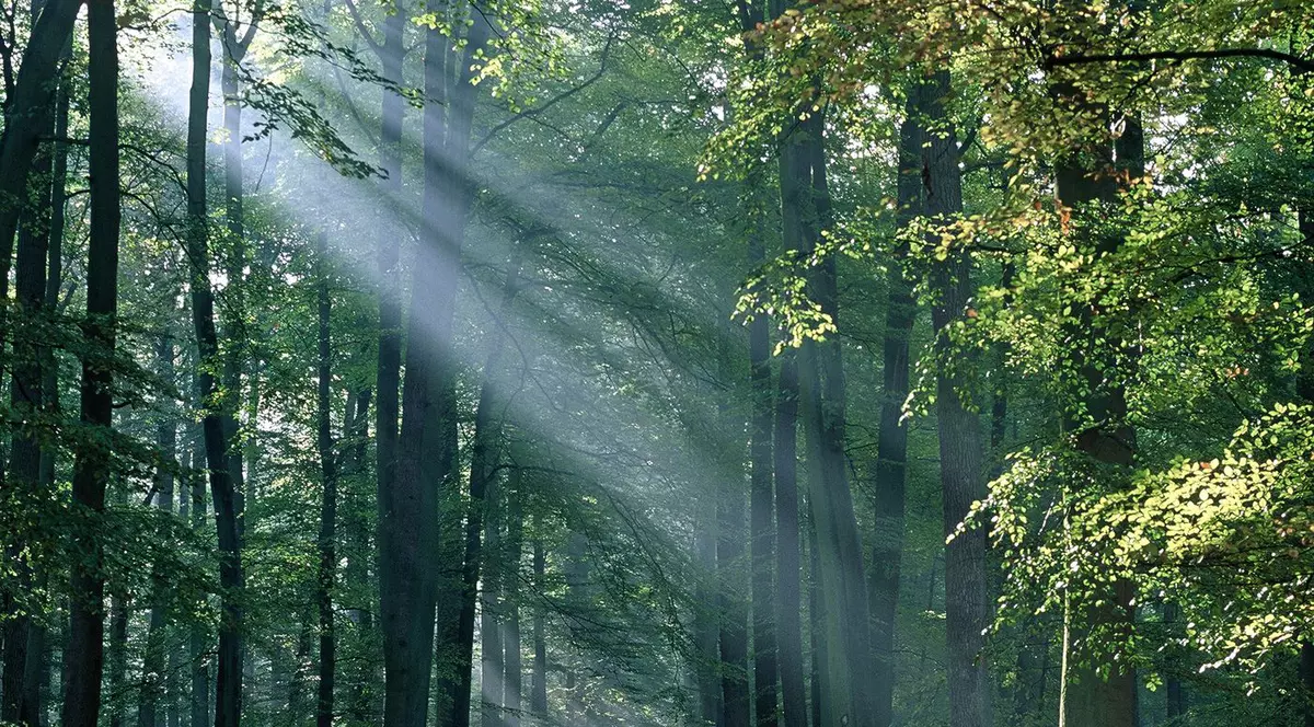 Habar nu ai  CÂT de CALD e afară. Termometrul din Sinaia te DEZBRACĂ IMEDIAT