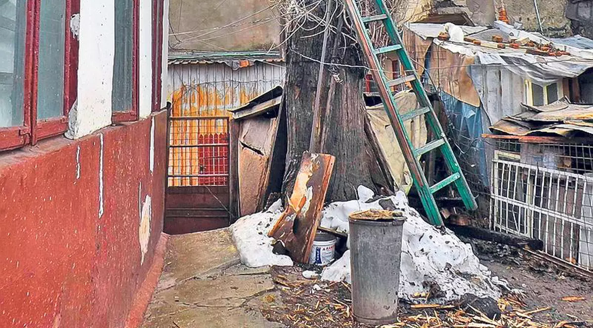 Autorităţile spun lucruri trăsnite: Dărâmaţi-vă casele, ca să putem tăia copacul!